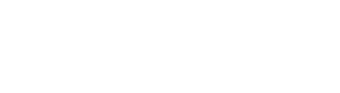 Spetion